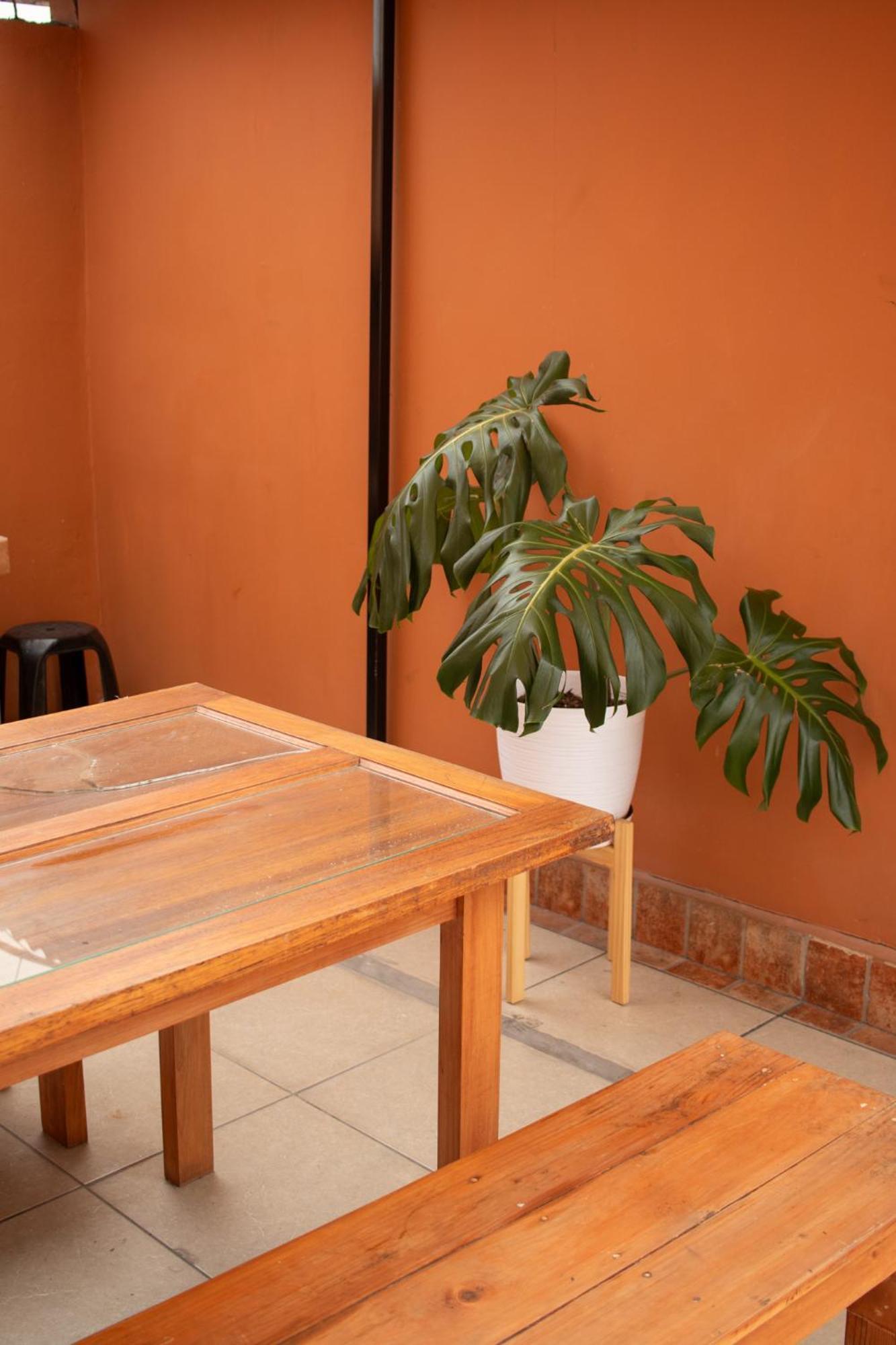 Temazcal Hostel Lima Extérieur photo